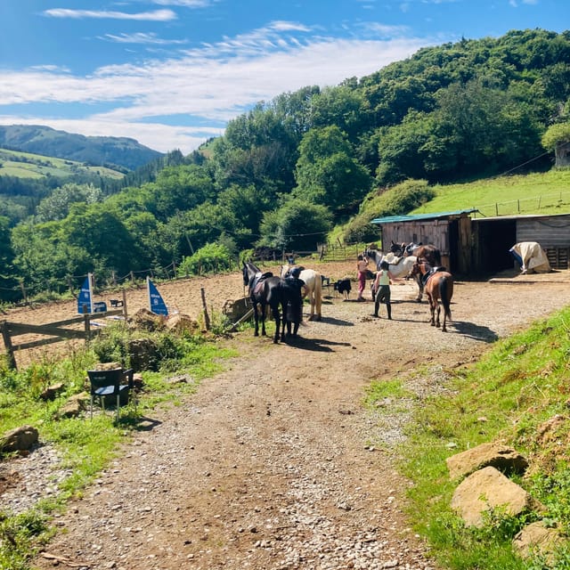 San Sebastian: Horseback Riding & Traditional Delights - Target Audience