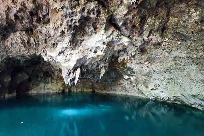 Santo Domingo Cultural VIP Tour From Punta Cana - Tour Experience Insights