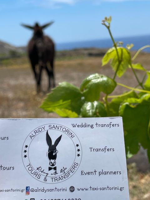 Santorini Airport Transfer - Inclusions