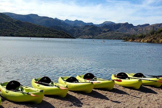 Scenic Guided Kayaking Tour on Saguaro Lake Review - Scenic Views and Wildlife