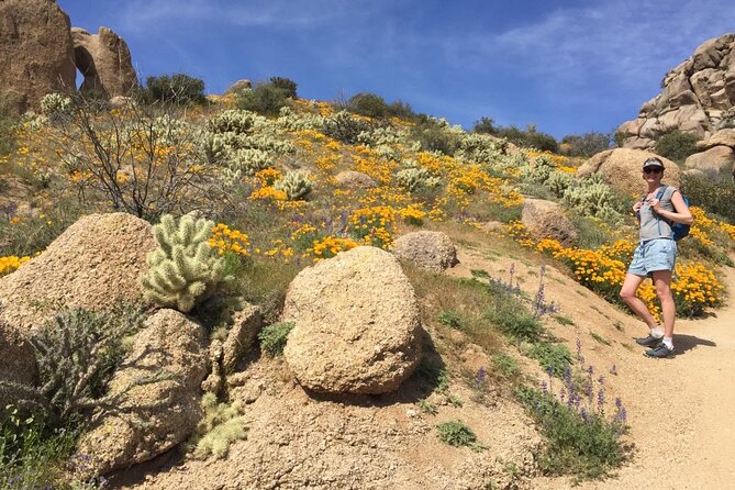 Scottsdale Desert Classic Guided Hiking Adventure - Inclusions and Pricing