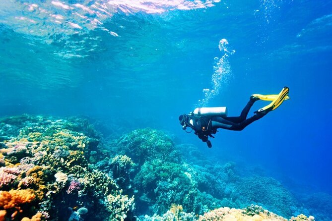Scuba Diving Adventure in Alanya With Lunch & Hotel Transfer - Meeting and Pickup Logistics