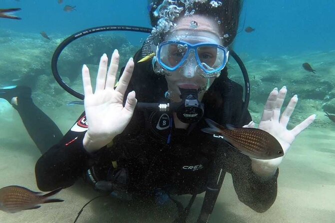 Scuba Diving for Beginners With a PADI Instructor Near Heraklion - Reviews and Feedback
