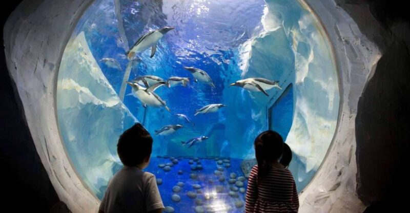 SEA LIFE Paris: Admission Ticket - Encounter With Marine Creatures