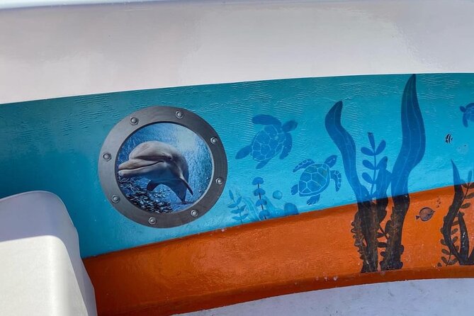 Sea Life Up Close Boat Tour Review - Meeting and Pickup Information