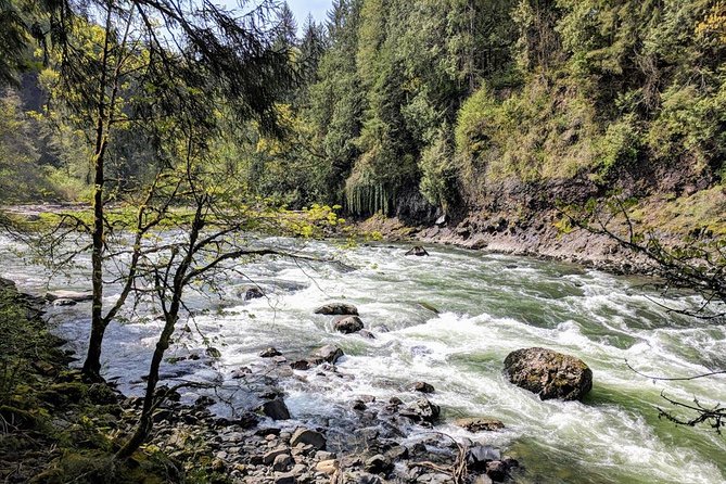 Seattle Wine and Waterfall Luxury Small-Group Day Tour With Lunch - Wine Tastings and Scenery