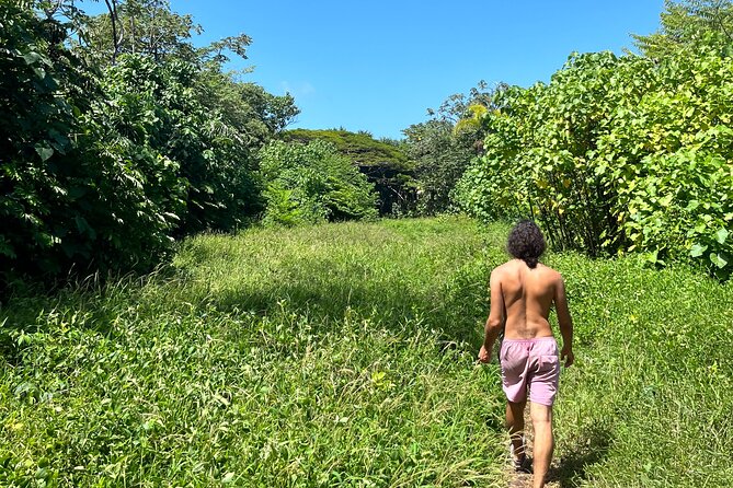 Secret Jungle Tide Pool Hike - Private - Customer Feedback and Insights