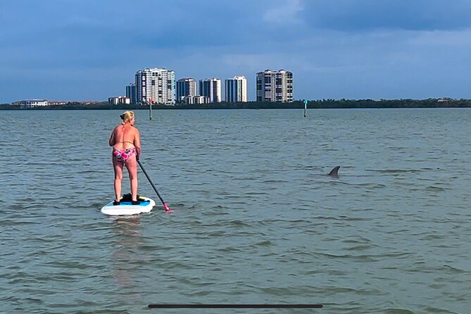 Self Guided Standup Paddle Board EcoTour -Bonita Springs - Whats Included
