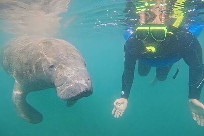 Semi-Private Manatee Swim Tour With Guide (Photos Included) - Accessibility Information