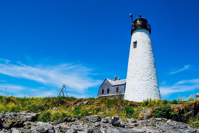 Seven Portland Lighthouses Tour - Review Highlights