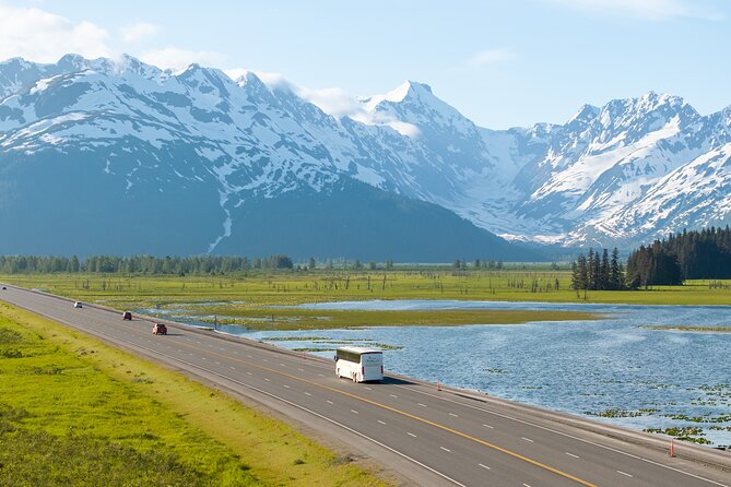 Seward to Anchorage Wildlife Adventure - Wildlife Sanctuary Visit