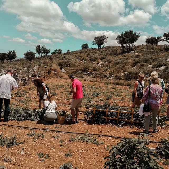 Sfendoni Cave and Shepherds Shelter … - Highlights and Learning Experiences