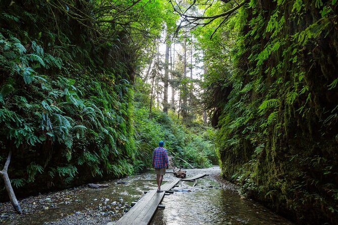 Shaka Guide: Redwood National Park Audio Tour Review - Cost-Effective Group Experience