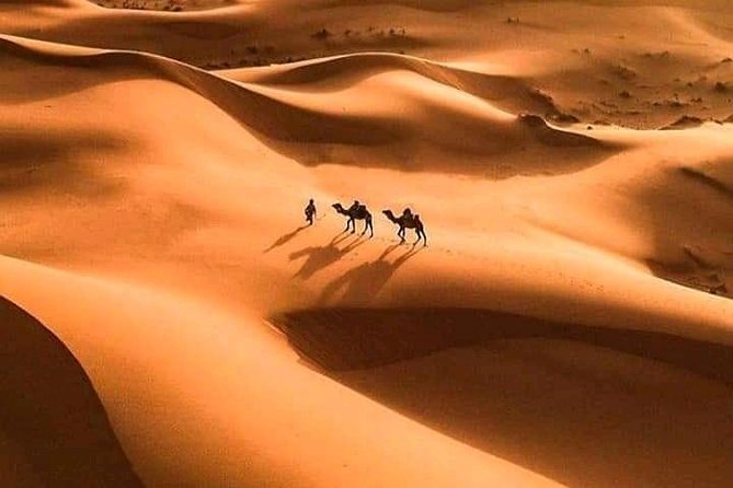 Shared 3 Day Desert Safari Experience Tour From Marrakech to Merzouga - Frequently Asked Questions