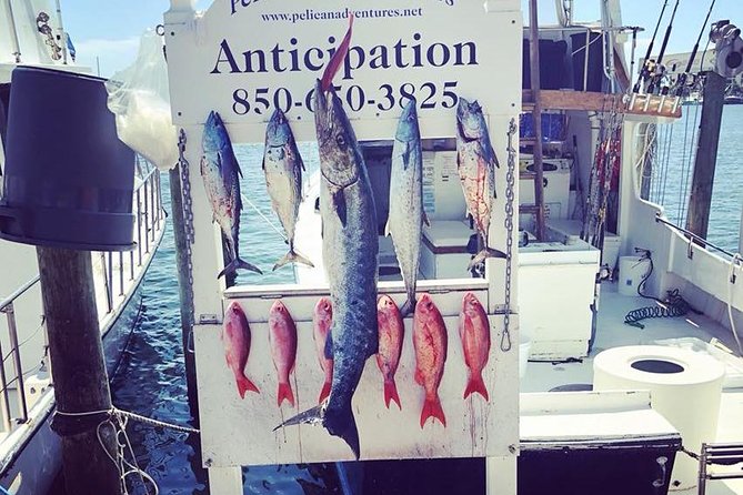Shared Deep Sea Fishing Trip - Meeting Information and Check-in Process