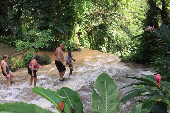 Shared Konoko Falls and Tropical Garden Tour From Ocho Rios - Pickup and Dropoff Details