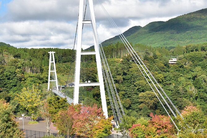 Shared Minibus Tour From Fukuoka to Kokonoe and Yufuin, Beppu - Meeting and Pickup