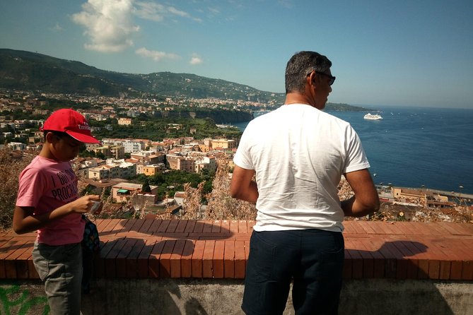 Shared Shore Excursion Naples Port: Pompeii Skip-The-Line and Amalfi Coast - Tipping and Transportation