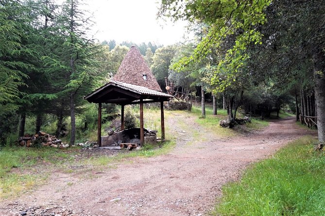 Shepherds' Tracks Through Forests and Natural Springs - Health and Safety Considerations