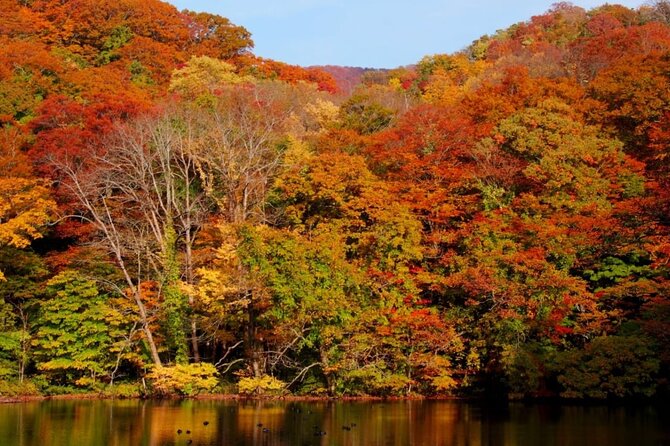 Shirakami Sanchi Day Hike With Government-Licensed Guide - Booking and Cancellation Policy