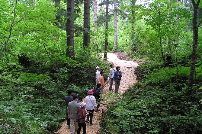 Shiratani-Unsuikyo Trekking Tour in Yakushima Island - Preparation and Recommendations