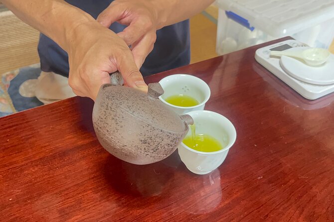 Shizuoka Tea Picking Private Experience - Accessibility and Participation