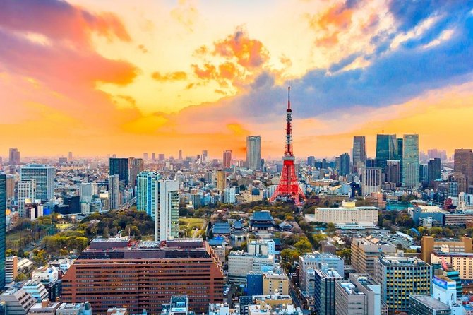 Shore Excursion: Day Trip To Tokyo From Yokohama Port - Accessibility and Special Accommodations
