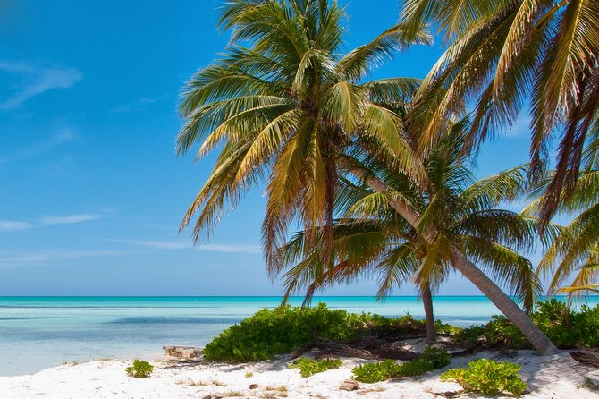 Shore Excursion: Grand Cayman Beach & Off The Beaten Track Tour - Customer Reviews and Experiences