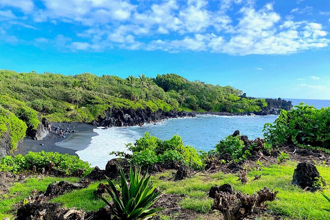 Shore Excursion of Maui Review: Unforgettable Adventure - Positive Feedback From Satisfied Customers