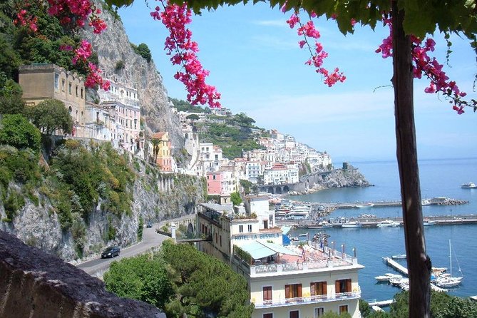 Shore Excursion Sorrento Positano and Pompeii - Accessibility Features