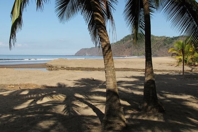 Shuttle From San Jose Airport To Jaco Beach or From Jaco Beach - Meeting and Pickup Information