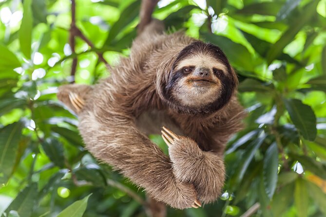 Shuttle From San Jose Airport To Monteverde - Pricing Information