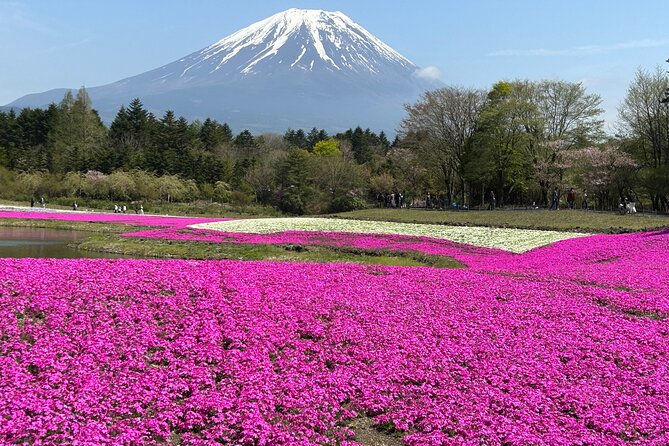Shuttle Van Tour Mt.Fuji From Tokyo and Yokohama - Accessibility Information