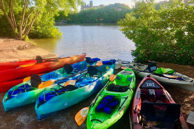 Siesta Key Guided Eco Tour - Kayaking Experience and Assistance