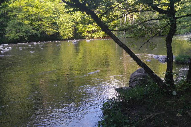 Sights of Smoky Mountains, Real Local History - Meeting Point and Additional Information