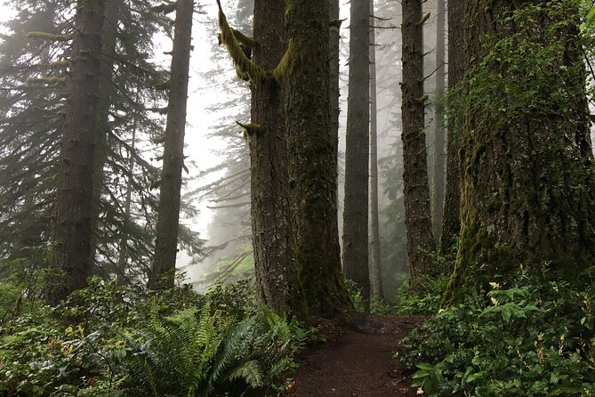 Silver Falls Waterfall Hiking Tour From Portland - Physical Requirements and Accessibility