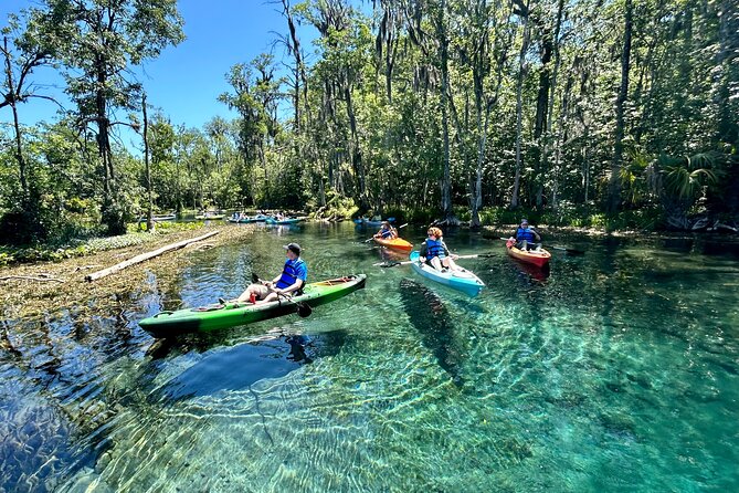 Silver Springs Kayak Rental Review: An Adventure Awaits - Positive Feedback