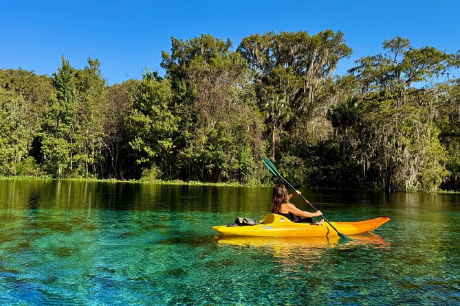 Silver Springs Premium Florida Manatee & Wildlife Experience - Wildlife Encounter Highlights