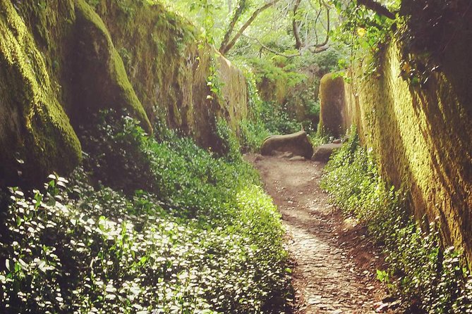 Sintra, Kingdom of Love - Private Day Walk - Whats Included in the Tour