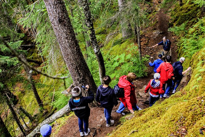 Skagway Shore Excursion Chilkoot Trail Hike and Float Tour - Review Highlights