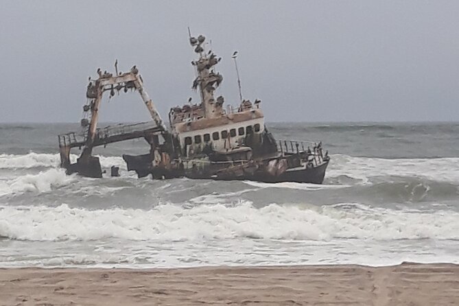 Skeleton Coast Cape Cross Seal Colony Tour - Tour Itinerary Highlights