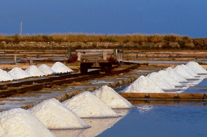 Skocjan Caves & Secovlje Salt Pans | Private off Cruise Excursion From Koper - Exploring Skocjan Caves