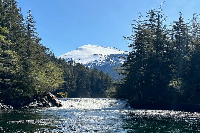 Small Group Boat Tour of Sitka - Wildlife Sightings and Tour Experience