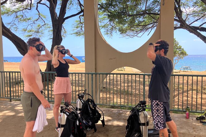 Small Group Discover Scuba Diving From Electric Beach With Photos - Meeting Point and Schedule