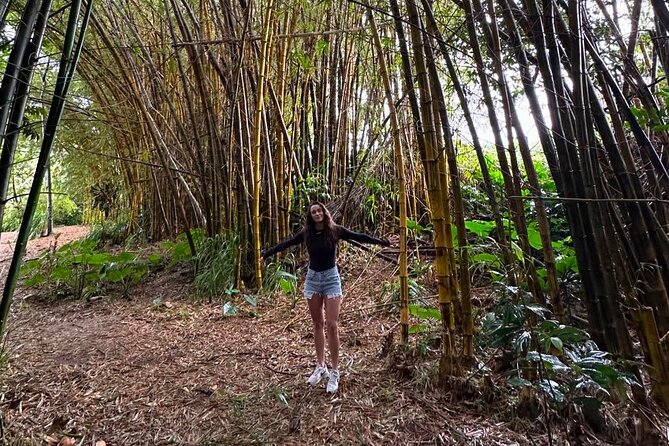 Small Group Full Day Road to Hana Adventure - Travel Information