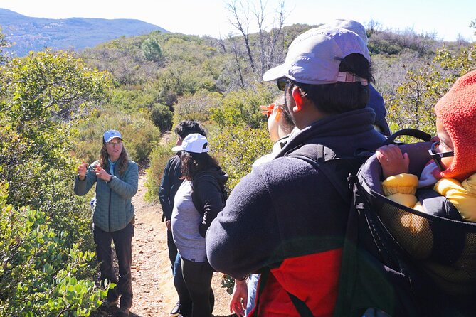 Small Group Hike Through San Diegos Heart and Soul - What to Expect on the Hike