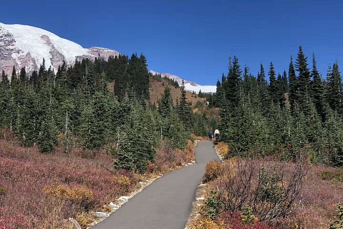 Small Group Mt Rainier National Park Day Tour From Seattle 2CANGO - Customer Feedback