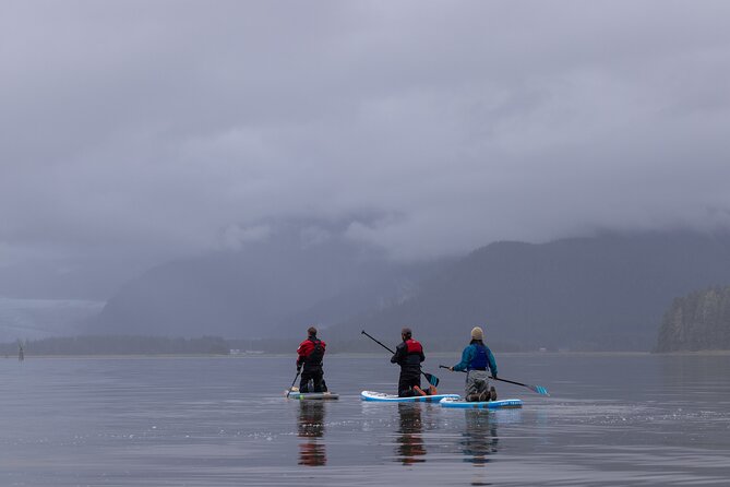Small Group Paddleboard Adventure With Mendenhall Glacier Views - Traveler Testimonials and Highlights