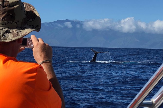 Small-Group Whale Watching Adventure - Optimal Whale Watching Seasons