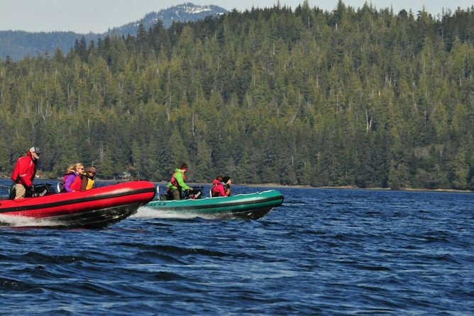 Small-Group Zodiac Wilderness Adventure From Ketchikan - Scenic Highlights of the Journey